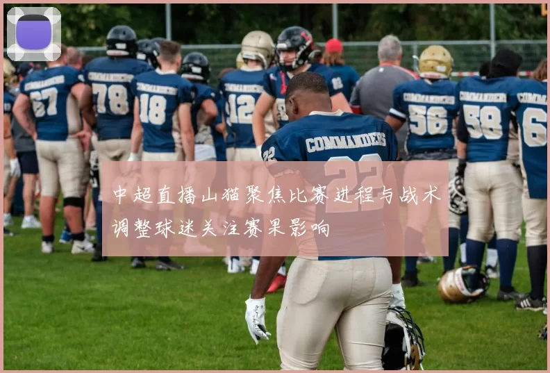 中超直播山猫聚焦比赛进程与战术调整球迷关注赛果影响