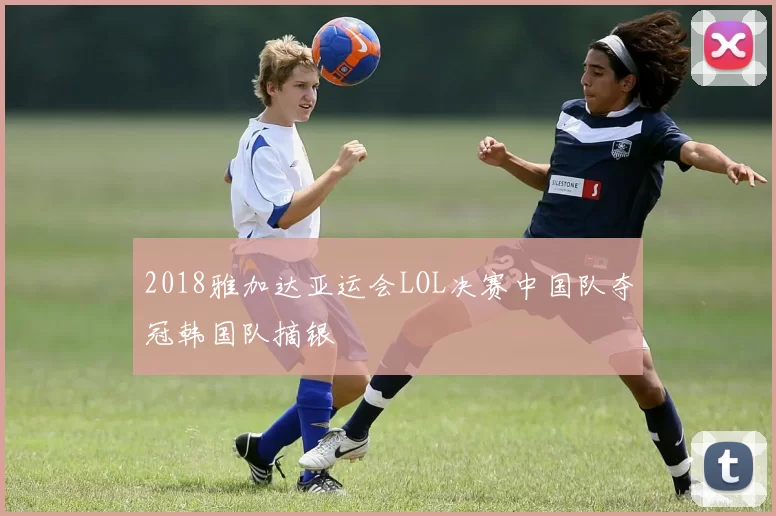 2018雅加达亚运会LOL决赛中国队夺冠韩国队摘银