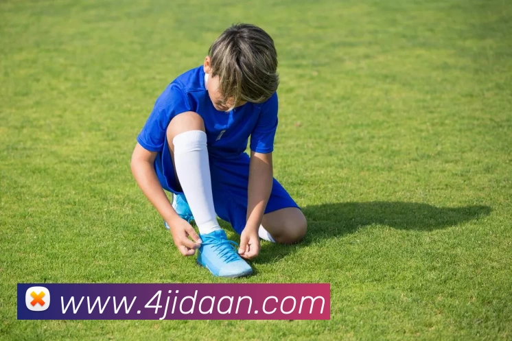 滚球官网app平台生态图