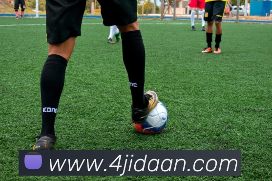 滚球官网appAPP 封面图